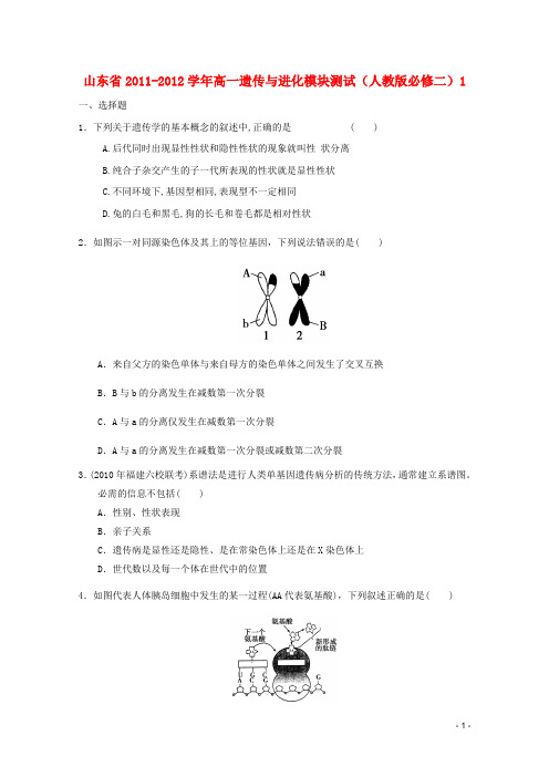 山东省2011-2012学年高中生物遗传与进化模块测试1 新人教版必修2