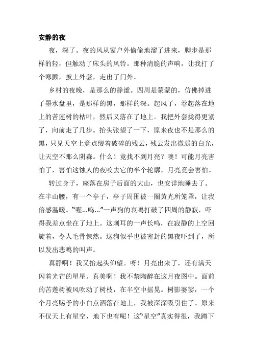 安静的夜晚作文600字