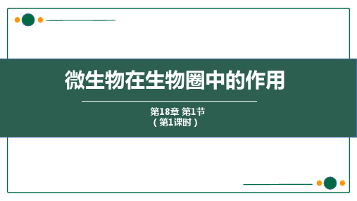 微生物在生物圈中的作用 ppt 课件