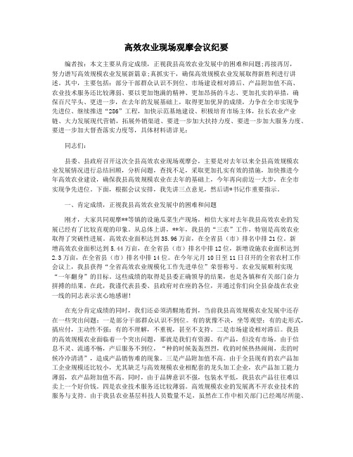 高效农业现场观摩会议纪要