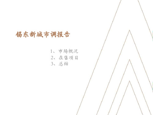 锡东高铁站周边市场调研报告-2020.01