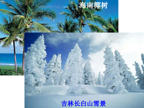 八下第五章第一节四大地理区域的划分(共23张PPT)