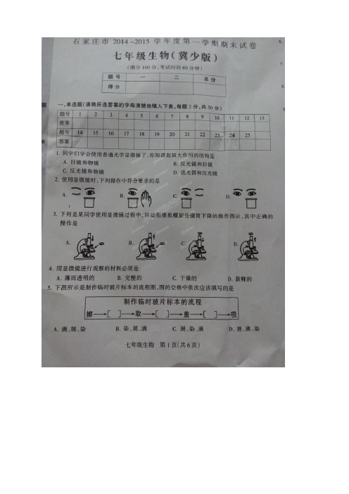 河北省石家庄市2014-2015学年七年级上学期期末统考(全