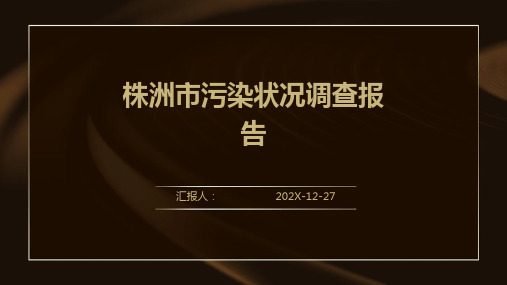 株洲市污染状况调查报告