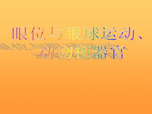 眼位与眼球运动、动物视器官