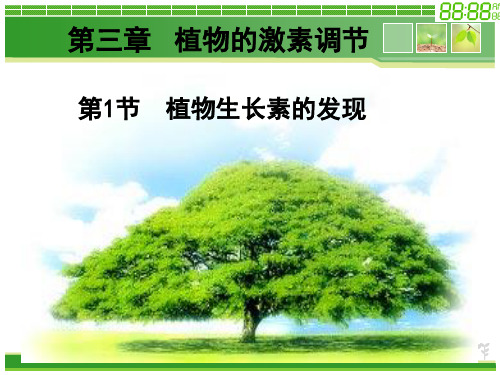 人教生物必修3第3章第1节 植物生长素的发现  课件