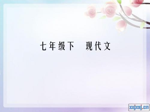 七年级下现代文字音字形(七年级下册优质复习课件)