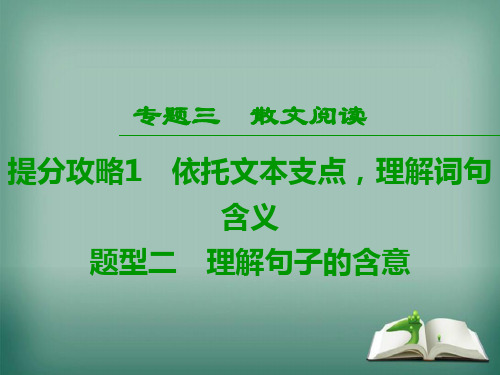 【精选】2019版高考语文二轮提分复习专题3散文阅读提分攻略1题型2理解句子的含意课件