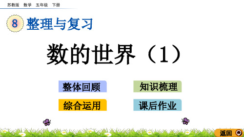苏教版五年级数学下册教学课件第八单元(PPT)