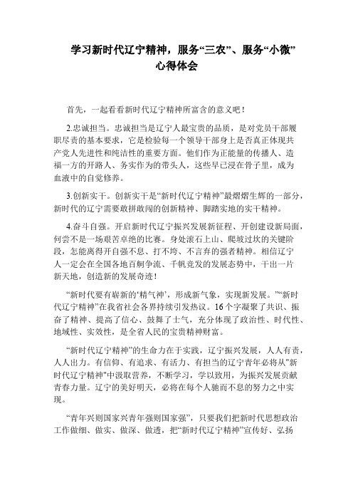 学习新时代辽宁精神,服务“三农”、服务“小微”心得体会