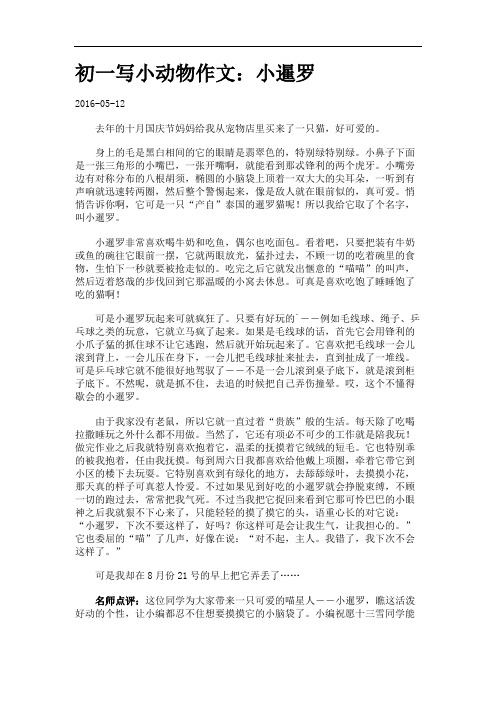 初一写小动物作文：小暹罗.