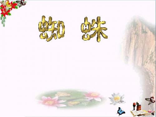 六年级语文下册《蜘蛛》 优秀课件2长春版