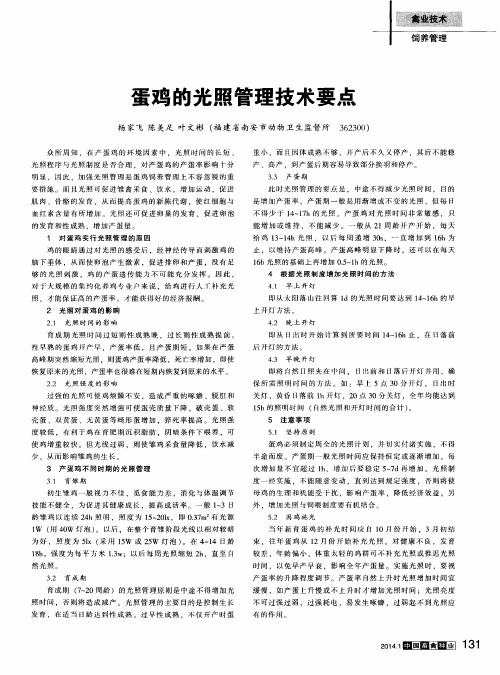 蛋鸡的光照管理技术要点