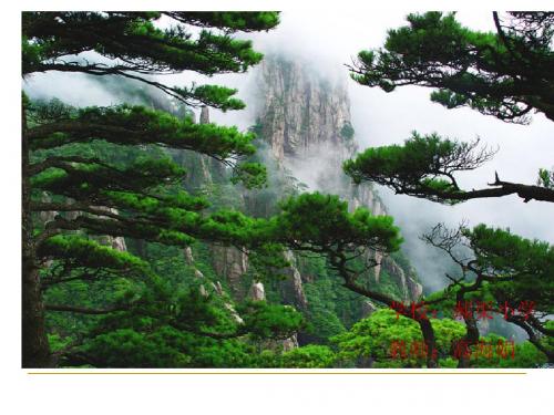 苏教版二年级上册语文18课《青松》课件