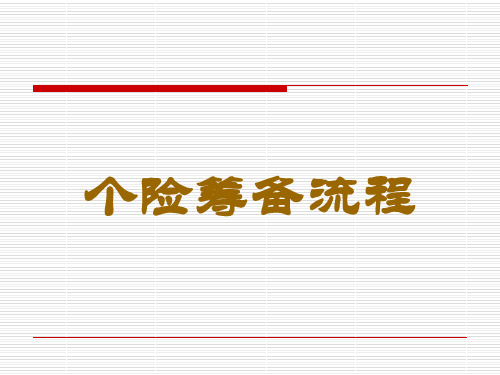 新机构筹备管理流程(ppt 23页)