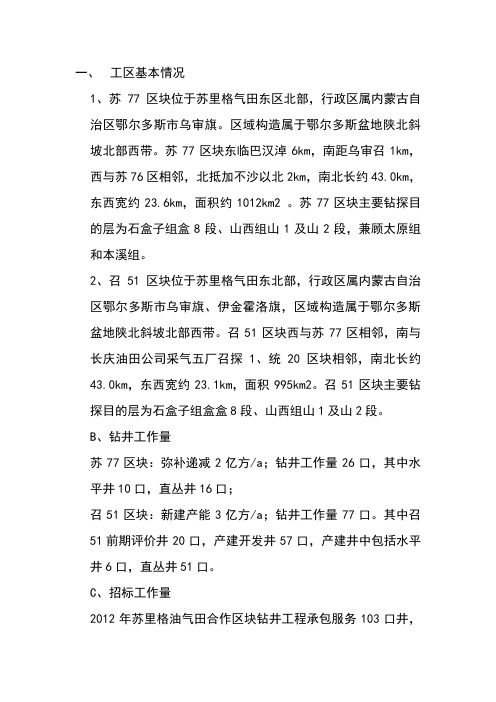 苏里格油气田项目说明