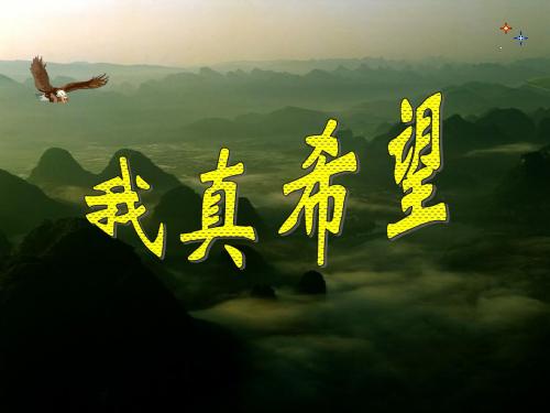 《我真希望》PPT课件2