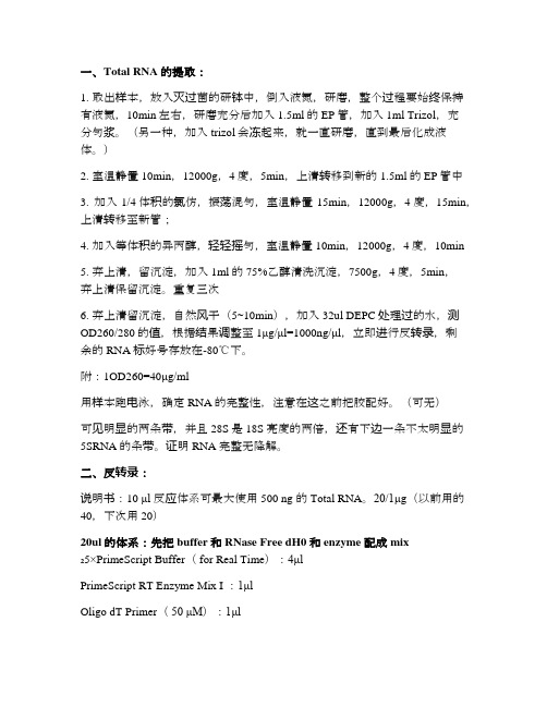 提取组织RNA,反转录,qPCR流程图