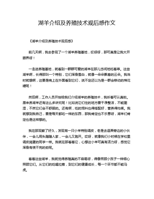 -12-湖羊介绍及养殖技术观后感作文