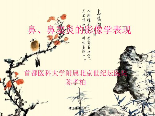 鼻、鼻窦炎的影像学表现ppt课件