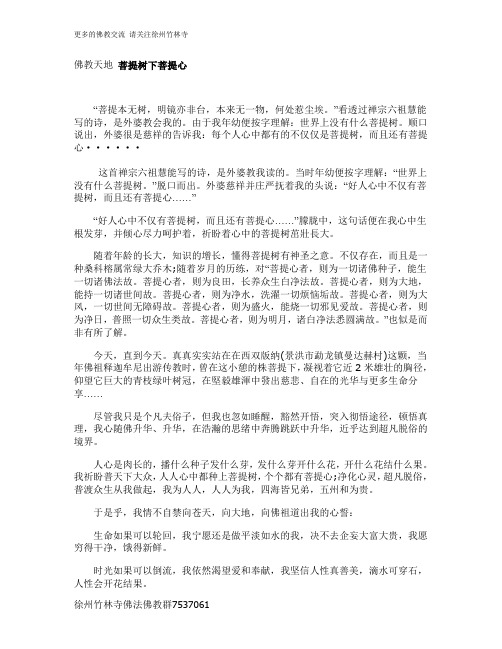 佛教天地 菩提树下菩提心