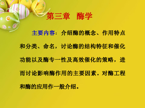 酶学复习PPT教学课件