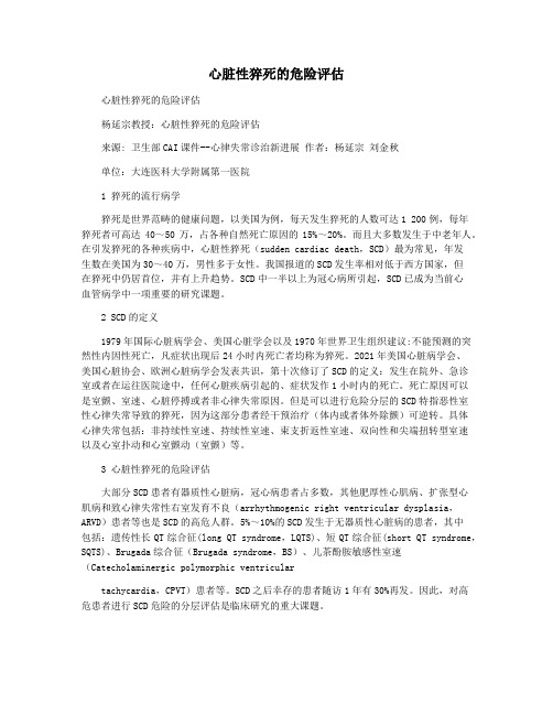 心脏性猝死的危险评估