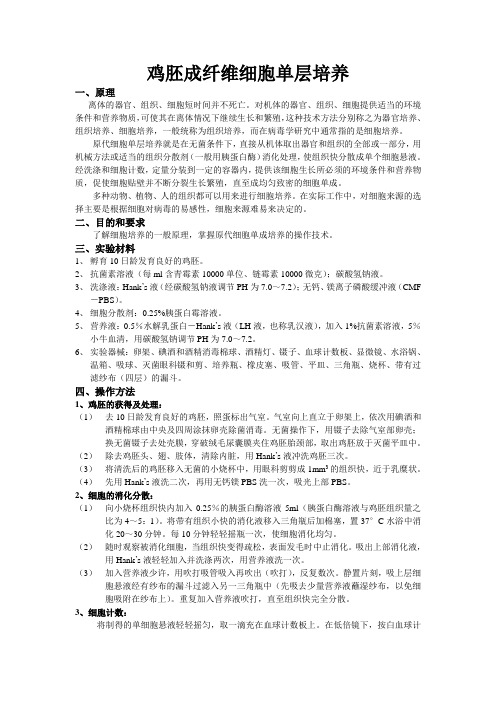 鸡胚成纤维细胞单层培养