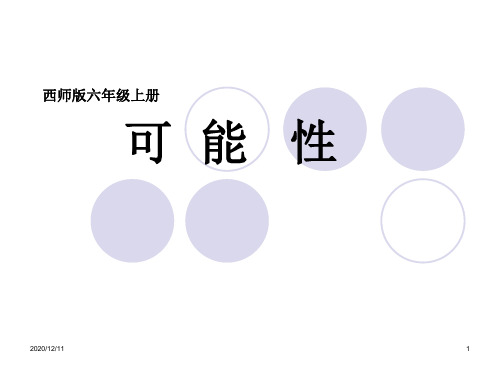 可能性PPT教学课件