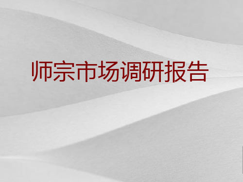 师宗市场调研分析报告