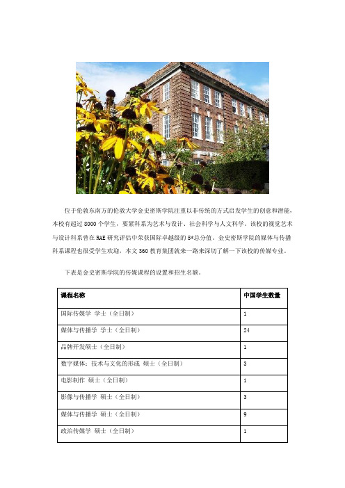 伦敦大学金史密斯学院传媒