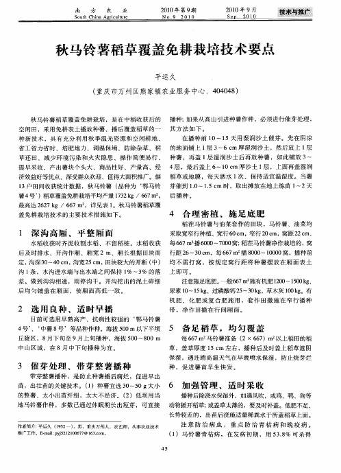 秋马铃薯稻草覆盖免耕栽培技术要点