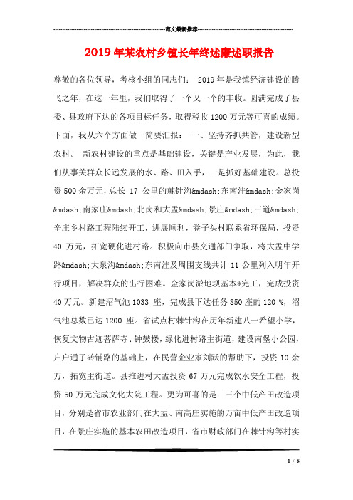 2019年某农村乡镇长年终述廉述职报告