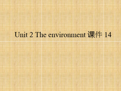 牛津译林版高中英语模块5 Unit 2 The environment 课件 14
