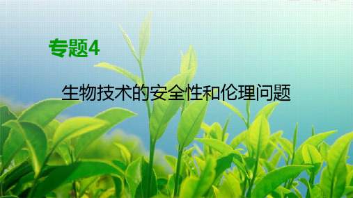 人教版 选修3  关注生物技术的伦理问题 课件 (62张)