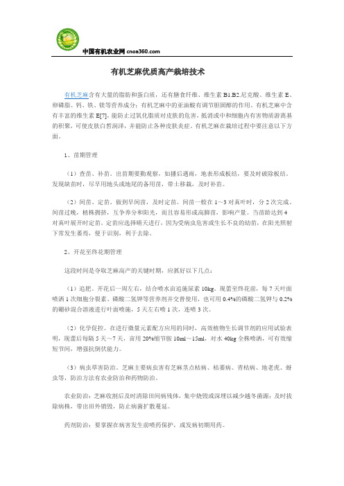 有机芝麻优质高产栽培技术
