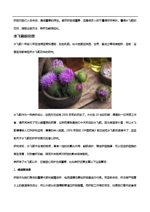 水飞蓟的功效,搭配这些方法,养肝也能很轻松