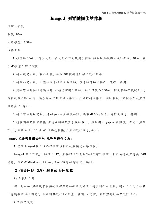 (word完整版)imageJ测脊髓损伤体积