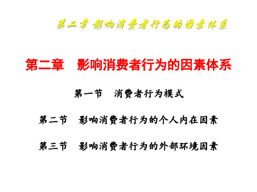 消费者行为学2影响消费者行为的因素体系
