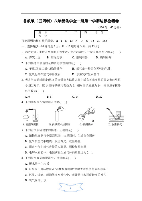 鲁教版(五四制)八年级化学全一册第一学期达标检测卷