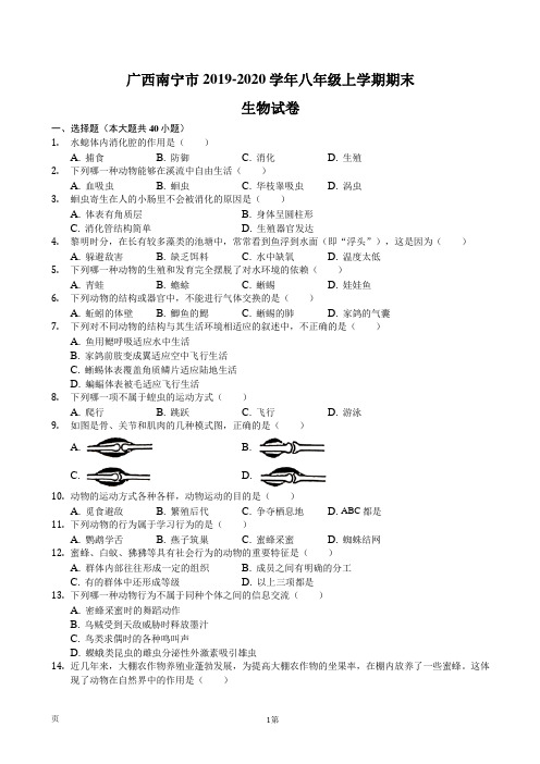 广西南宁市2019-2020学年八年级上学期期末生物试卷(解析版)