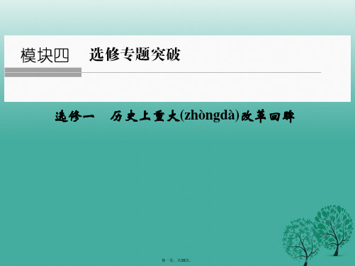 (专题版)高考历史二轮复习历史上重大改革回眸课件