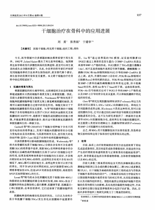 干细胞治疗在骨科中的应用进展
