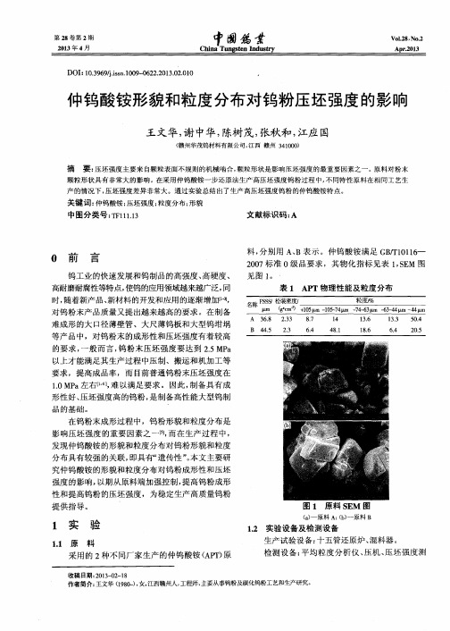 仲钨酸铵形貌和粒度分布对钨粉压坯强度的影响