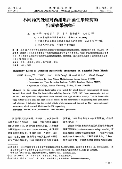 不同药剂处理对西甜瓜细菌性果斑病的抑菌效果初探
