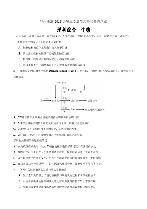 四川省泸州市2019届高三第三次教学质量诊断性考试理科综合生物试题word版