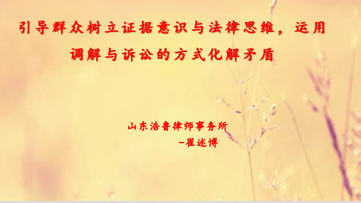 引导群众树立证据意识与法律思维,运用调解与诉讼的方式化解矛盾纠纷讲课PPT