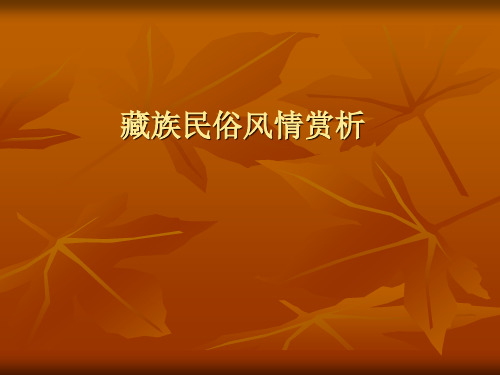 藏族民俗风情赏析PPT课件