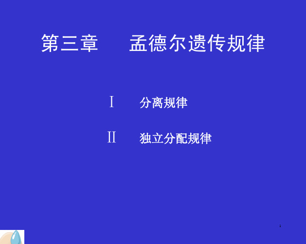 孟德尔遗传规律