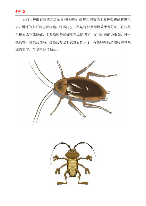 蟑螂胶饵有用吗